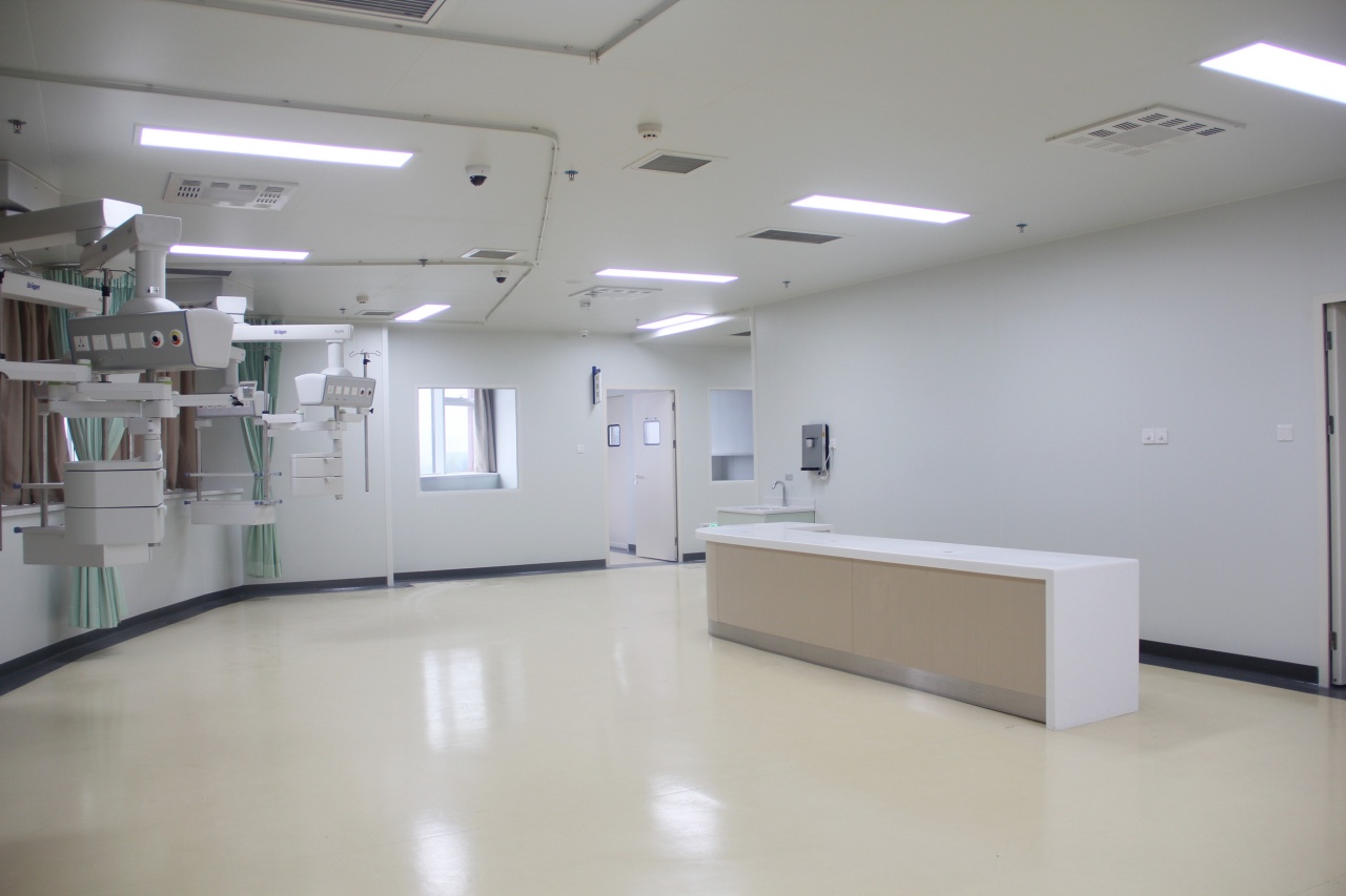hygienic solid surface